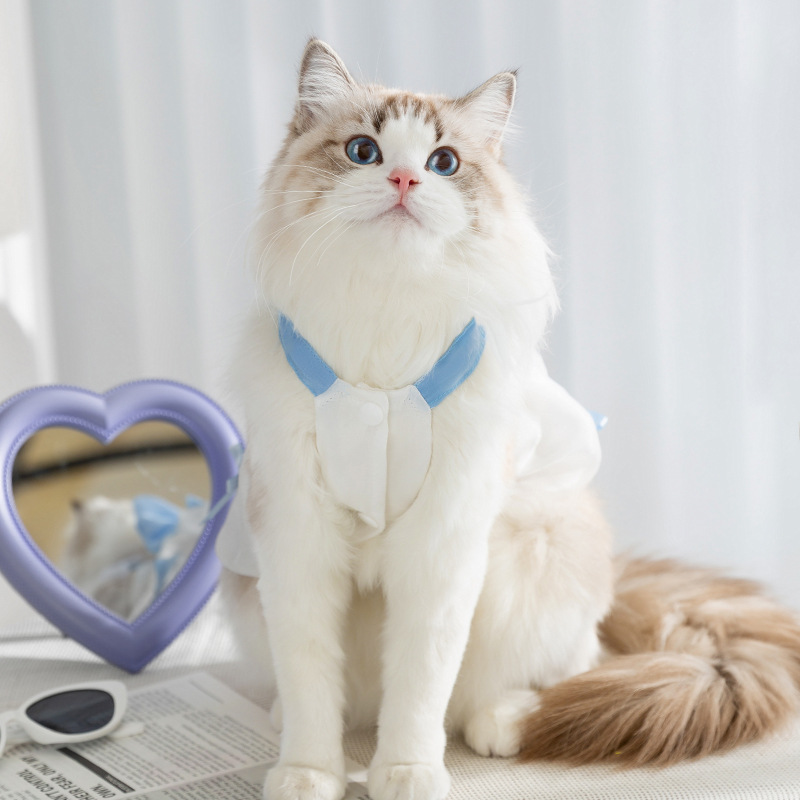 Primavera y verano gato princesa estilo arco colorido streamer vestido de perro vestido de perro falda de mascota ropa de gato