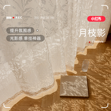 法式浪漫纱帘窗帘飘窗客厅阳台窗纱透光不透人轻奢高档镂空月枝影