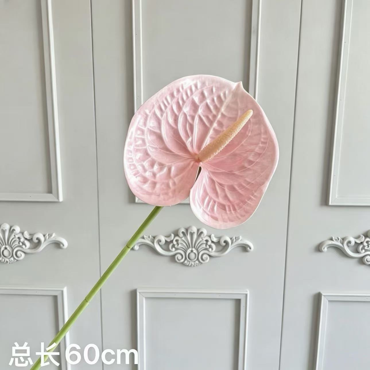 핑크색 안스리움