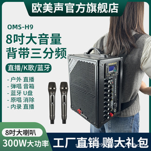 European and American Sound H9 Outdoor Audio Professional Karaoke Performance Singing High-Power Satchel Square Dance Bluetooth Speaker