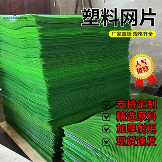 纯原料加厚塑料网格围栏网家禽养殖网阳台封窗安全防护网塑料网