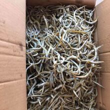 ��������Ʒ��С���~����l�~С�y�~�ɺ��r��؛�~�ɺ����~6-7�ɸ�