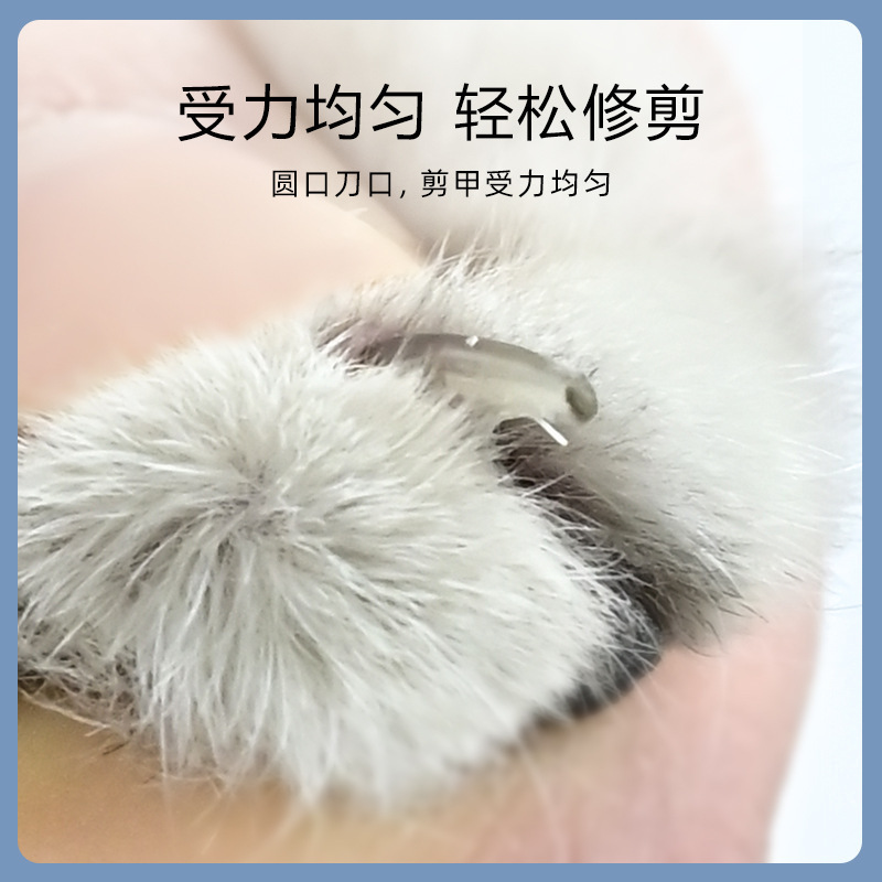 Cuchillos de uñas, suministros para prevenir lesiones accidentales, tijeras pequeñas para ciegos, tijeras de uñas para gatos novatos para mascotas, pinzas de uñas con orificios redondos, tijeras fáciles