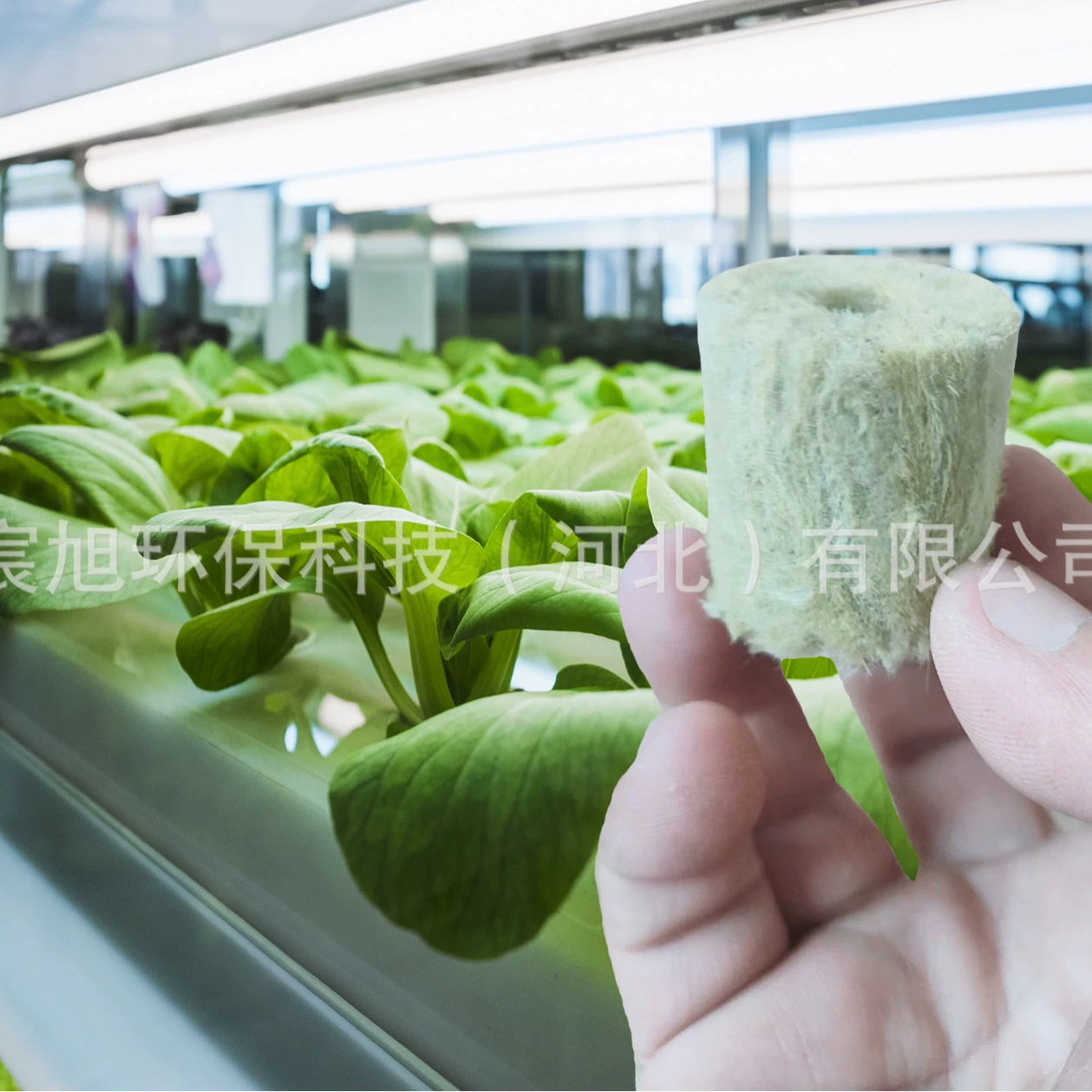 Прямые поставки с фабрики 38*40 пробка для рассады из минеральной ваты цилиндр из минеральной ваты сельскохозяйственное гидропонное обновление минеральной ваты