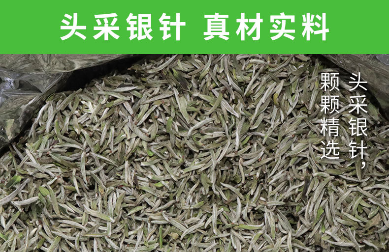 2021年头采银针-fx_04.jpg