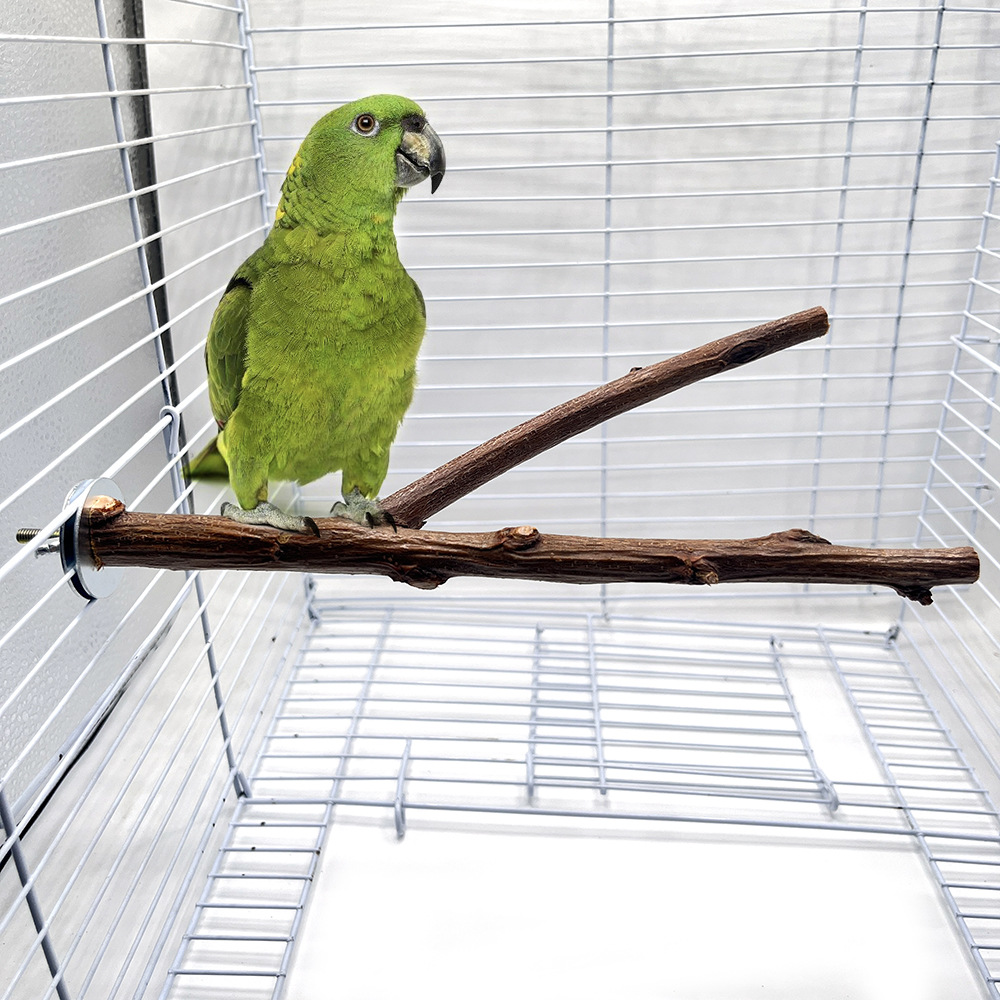 Estación de aves Varilla natural rama de árbol loro stand grind garra perca asomando ramita jaula de pájaros suministros pequeño pájaro juguete al por mayor
