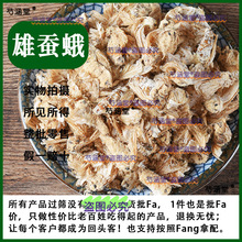 原料雄蚕蛾中药材正品纯公蝉俄晚娥魏蚕峨未交泡酒蚕蛾粉另有蚕蛹