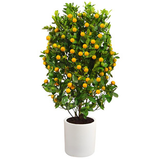 ��Ƥ��ێ����l؛���Ԙ����ļ������ʳ���������Ƥ�����҃ȳ��G