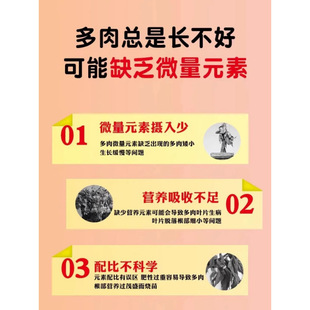 Yuyasu Succulent Sprouting Hormone Growth-Promoting Nutrient Solution for Side Bud Flowers and Green Plants Universal Germination Dwarf Hormone
