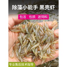 �ښ��r�~�׳�����z���r��̖�ݸ��坍���������^�p�r��ˮ�O����r