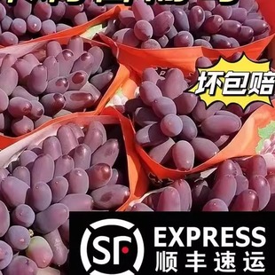 ����S���]�����ږ|�����������џo�у����������ѬFժ�F�l�Ћ���