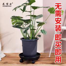 花盆托盘带滑轮花博士钢化轮托圆形万向轮底座滚轮移动圆底盘底托