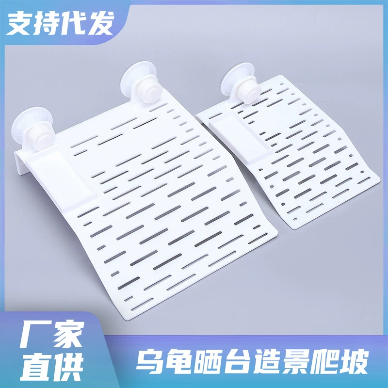 Черепаха солнечная Терраса восхождение Черепаха Морская черепаха солнце назад Плавающая Платформа плавающий остров пейзаж Альпинизм склон поддержка поколения