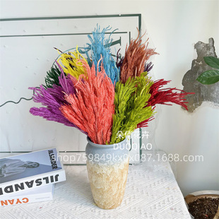 ���������lʯ�ɸɻ����~�仨������ļҾ��bzӰ����DIY�ֹ�