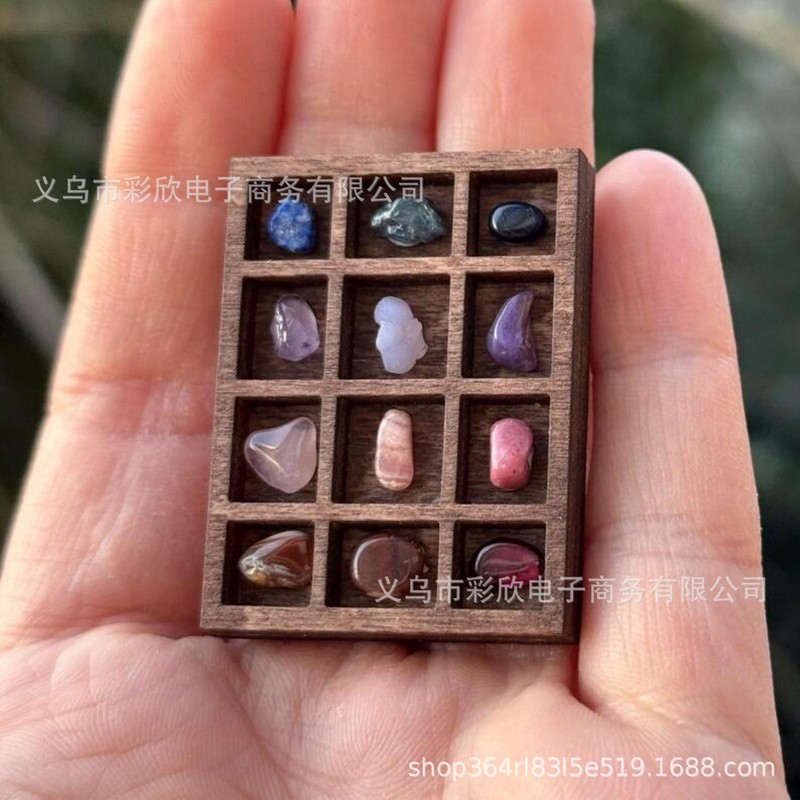 跨境微型木质珠宝收纳架桌面饰品展示架收藏贝壳标本爱好者小摆件|undefined
