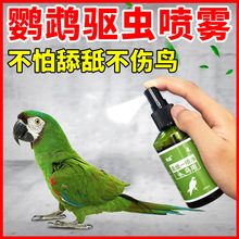 BwxFBҧëëëʭ\xwxB