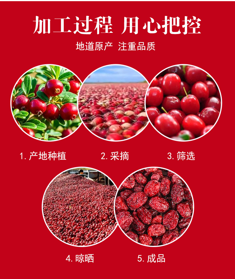 Dried Cranberry Pieces (Vaccinium macrocarpon) — Sweet-Tart Dried Fruit for Baking & Tea in use