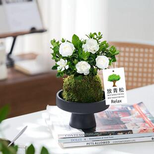 ̦�\����~�d�ӻ��k���҃��̨�������ֺ��B�Gֲ���ԝ����_��ֲ��