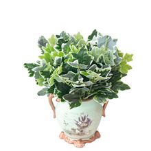 ����7�^�ع��~ ����ֲ����ɽ���~��ֲ��b���ĳ����ٸ߷���