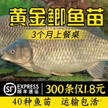 ��Ʒ�N�S���a�~���п���̖�����a����a�߱���ˮ�Bֳ���w����~��