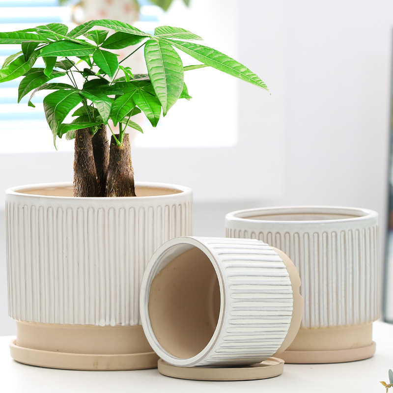 Orchid Special Coarse Pottery Breathable Large Clearance with Tray Ceramic Large Flower Pot Green Rose Special Offer Free Shipping High-end Living Room