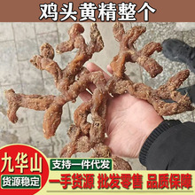 多花黄精干货 鸡头黄精整个 九华山黄精个无沙官方旗舰店炙熟黄精