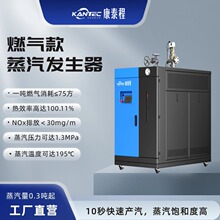 燃气蒸汽发生器蒸煮消杀水洗屠宰酒厂化工节能省钱安全蒸汽锅炉