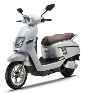 NS Electric Motorcycle High-Power Electric Scooter Long-Distance Electric Vehicle