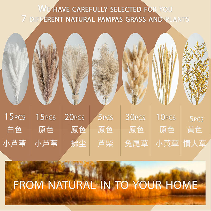 100개들이 상자 조합 1