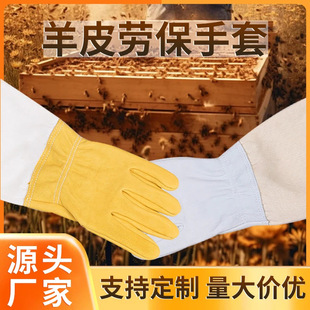 �B����Ƥ�ڱ�������ĥ�Ӻ��B��׽����ۈ@ˇ���׷�����̻��@����