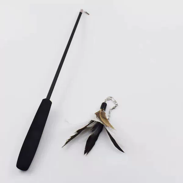 Black-bodied fishing rod two-piece set (rod + one head)