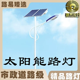 太阳能灯;庭院灯;道路照明灯