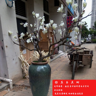 �ɘ�֦�b����͘����m����ؿ͏d�ݘ䙻����c���ڒ��쾰�[��