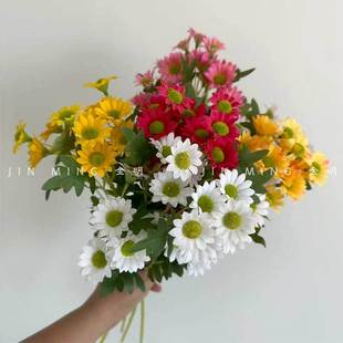 �羳���R�d Ұ�� 6ɫ�Ҿӿ͏d�b��̚Wʽ��c�[���ٻ�Ұ�ջ�