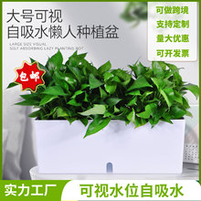 �̨խ߅�L���λ��贰̨��խ�N�����ͥ�@ˇ���⻨������ˮ�N����