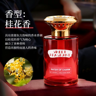 Car Perfume Aromatherapy Interior Car Ornaments High-End - golden-gui