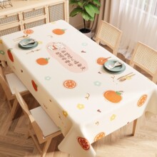 ������ˮ������ϴ����ins�L���β������p�ݸ߼��Lpvc������|̨��