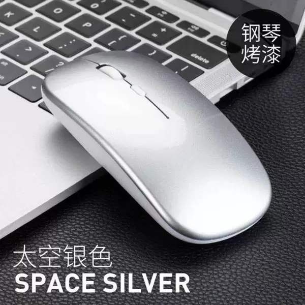 Charging 2.4g-Space Silver