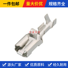 6.3������� ����927854-6 ���ʽ��ѹ���߶��� DJ624-D6.3B