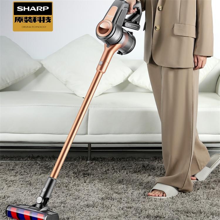 Wireless Household Handheld Vacuum Cleaner with High Suction Power for Hair and Pet Mite Removal for Home Sofa