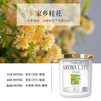 Aroma Ornament Car Air Freshener, Car Perfume Aromatherapy - golden-maple-leaf-balm-osmanthus