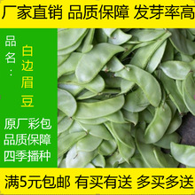 ��߅ü���N���i����t߅�ⶹ�ӷ�����ļ���Ʒ�N����ü���N��