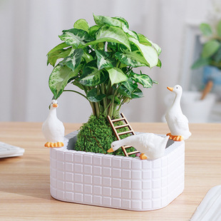 �Gֲ���Ի���΢���^С�[�����g���湤λ��w�����b�Ʒ���P���s�L