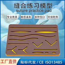 ҽѧ����ѧģ���������Ƥ�����ģ��轺���Ƥ����羳��ó