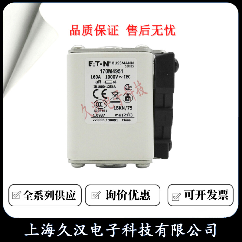 170M4951 170M4952 170M4953 170M4954 170M4955 BUSSMANN 熔断器