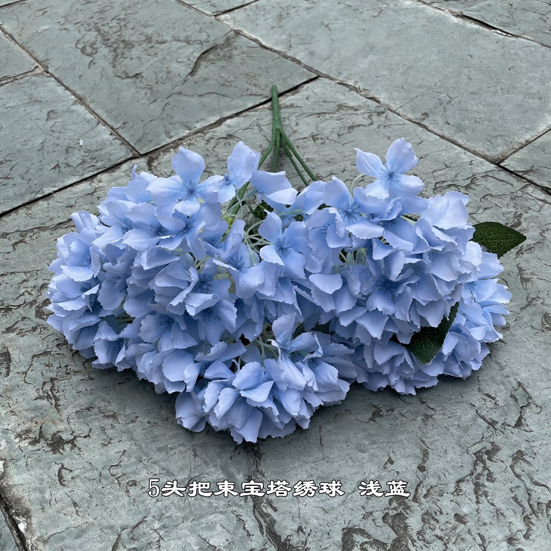 7 #5 paquete cabeza pagoda Hortensia azul claro