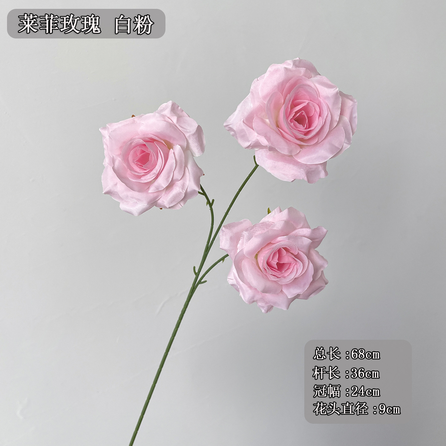 3 필레 로즈 화이트 핑크