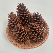 ԭ���B�������[����Ȼ�����򙻴����������b��ɹ�����Ȼˇ�g�ɻ�