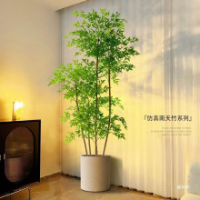 ���������Gֲ��������҃ȴ��ͷ���ֲ��[���͏d�p���b��٘�