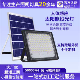 【加工定制】人体感应太阳能投光灯防水农村家用太阳能户外庭院灯